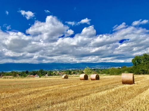 Maison de vacances Big House, 7 Bedrooms, 10 min from Geneva 20 Chemin des Patres Archamps