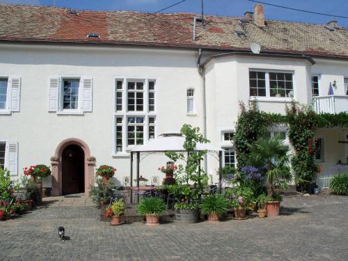 Bio-Weingut, Gästehaus und Kräuterhof Flomborn allemagne