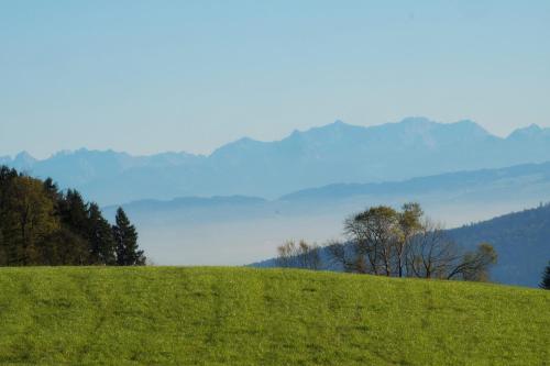 Biohotel Mohren Deggenhausertal allemagne