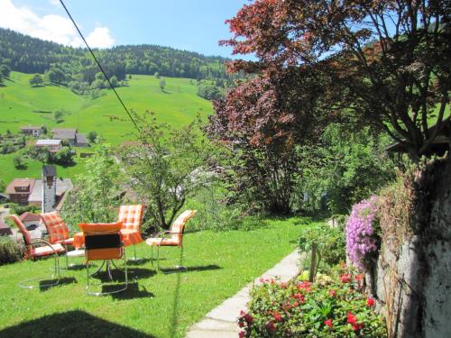 Black Forest Apartment Todtnau allemagne