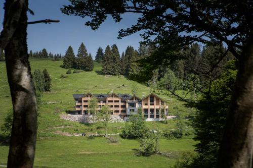 Appartements Black Forest Lodge Am Sommerberg 28 Feldberg