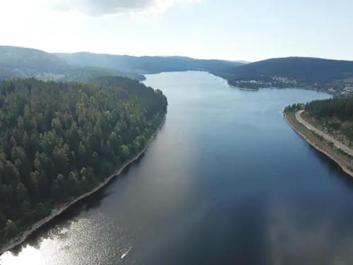 Black Forest Schwarzwaldblick Pool Netflix WiFi Höchenschwand allemagne