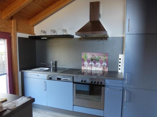 Appartement Blaues Haus - Une maison bleue 12 Alte Erlenbacher Straße Hetzerath