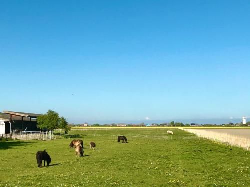 Blick Neukoog Nordstrand allemagne