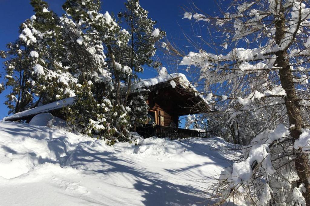 Maison de vacances Blockhütte / Ferienhütte 10 Steigrainer Straße, 82433 Bad Kohlgrub