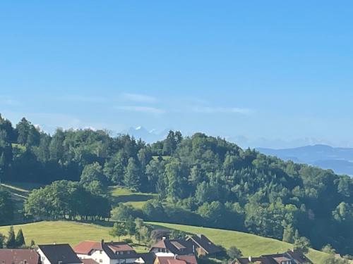 Blumenhof - ERHOLUNG PUR, traumhafte Aussicht Zell im Wiesental allemagne