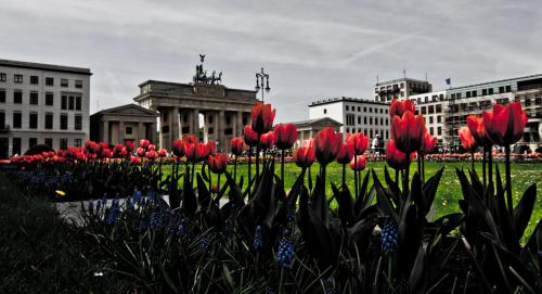 Auberge de jeunesse BNB Potsdamer Platz - Rooms & Apartments Möckernstrasse 113, 10963 Berlin