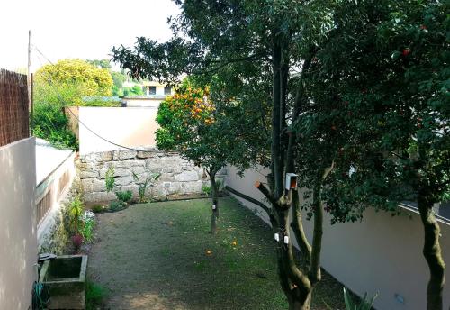 Appartement Boavista Charming Apartment with Garden by Great&Cosy 256 Rua da Boavista Porto