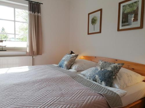 Appartements Boddenhus auf Rügen - Ferienwohnungen und Pension Wiesengrund 3a Rappin