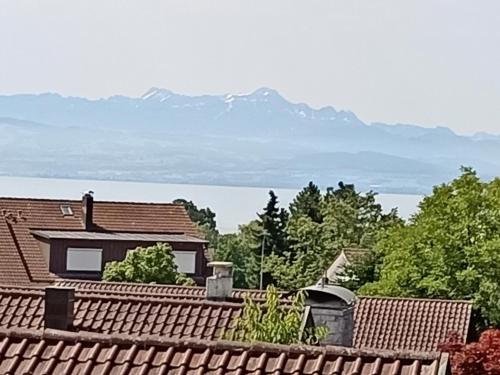 BodenSEE Apartment Friedrichshafen Montafonstrasse N 2 Friedrichshafen allemagne