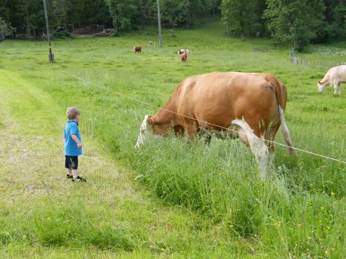 Séjour à la ferme Bognerlehen Bognerweg 8 Bischofswiesen