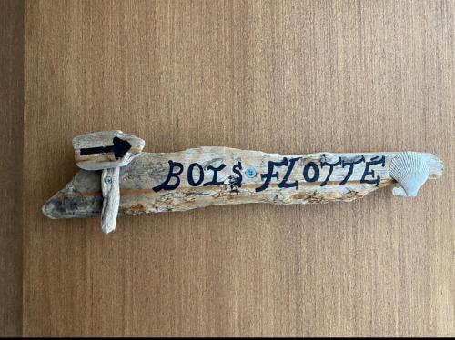 Bois Flotté Le Tréport france