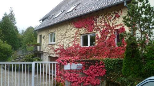 B&B / Chambre d'hôtes Bois Joli de la Freyère 279 Rue du Fossé Hindisheim