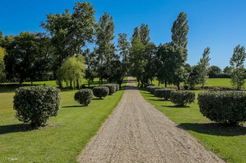 Maison d'hôtes Bordeaux-Blaye-St-Emilion-Arcachon-Domaine de Cézac 6 lieu-dit la barronerie Cézac