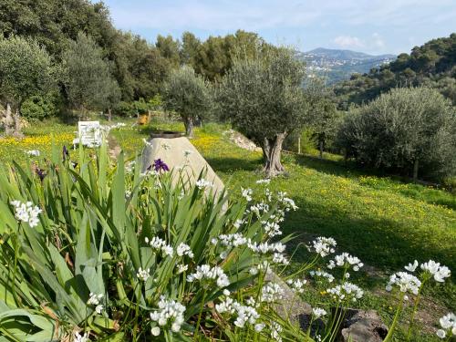 BREATHE - Unique Guest House : City center and nature Nice france