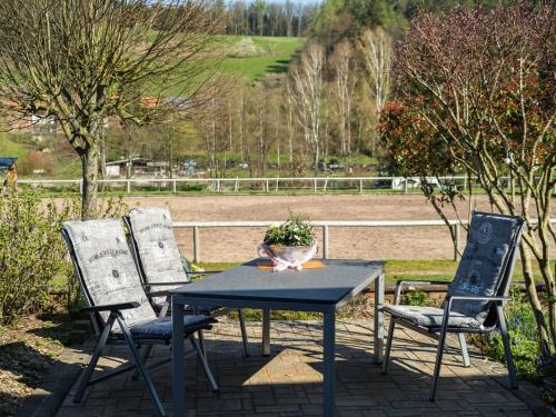 Bright apartment in the Odenwald with sunny private terrace Mossautal allemagne