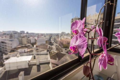 Brigida's Flat Faro portugal