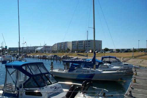 Appartement BTSD54203-Ferienwohnung-Stranddistel-54-I Stranddistelweg 4 Burgtiefe auf Fehmarn 