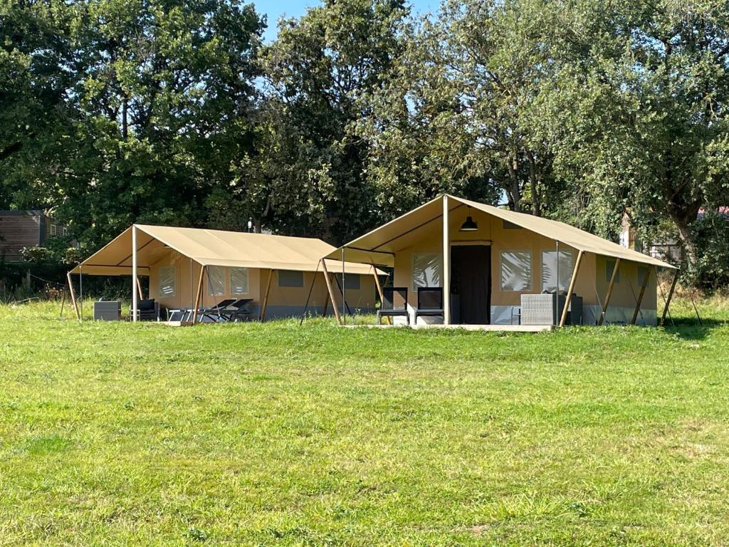 Tente de luxe Budget Glamping Safaritent - La Grappe Fleurie Rue de la Grappe Fleurie, 69820 Fleurie