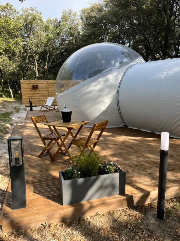 Tente de luxe Bulle au milieu de la forêt face au mont Ventoux 1230 Chemin de Vénasque, 84380 Mazan