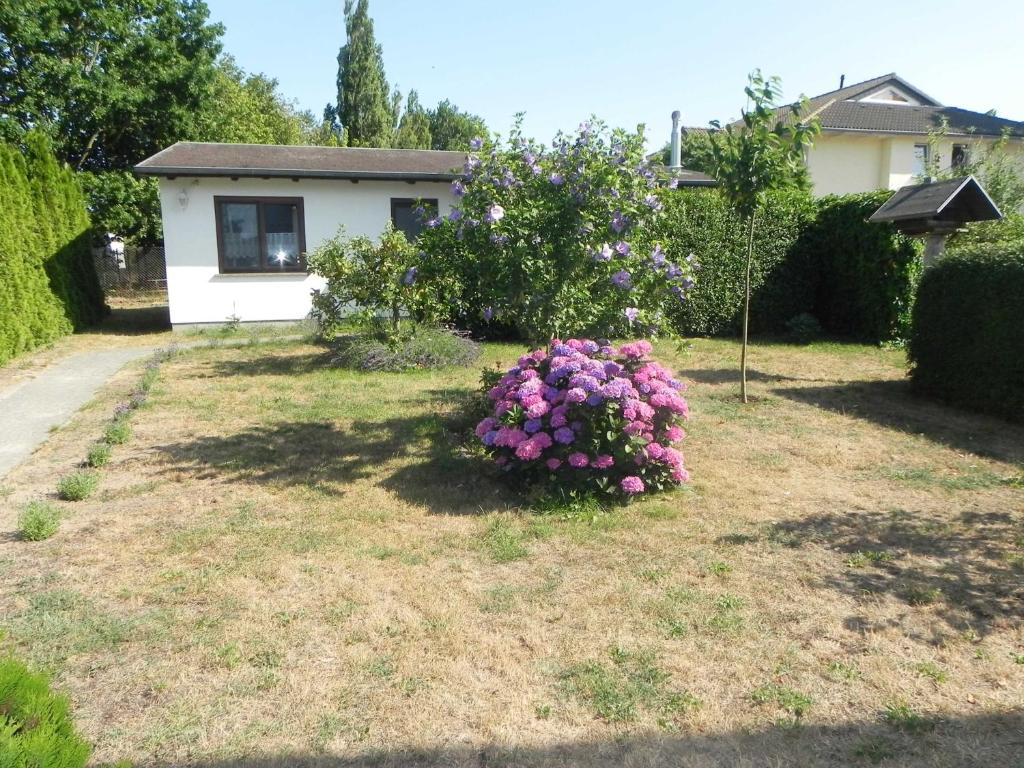 Maison de vacances Bungalow _Carpe diem_ Bansiner Landweg 18, 17424 Heringsdorf