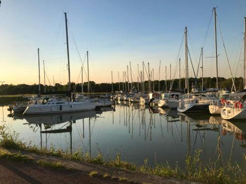 Bungalow de 2 chambres avec piscine partagee jardin clos et wifi a Meschers sur Gironde Meschers-sur-Gironde france
