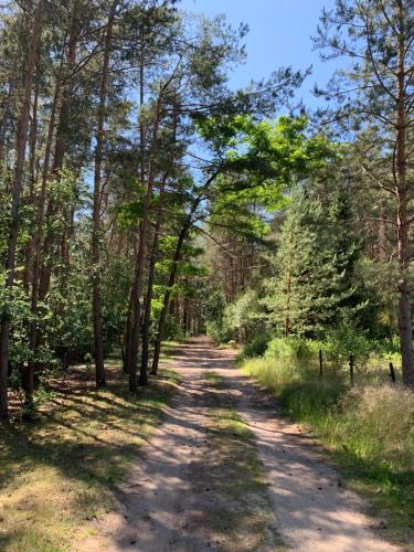 Bungalow im Wald Borkwalde allemagne