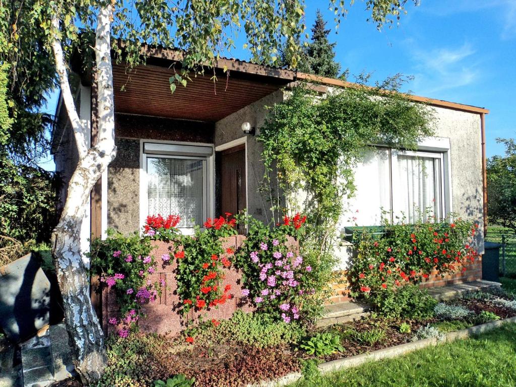 Appartement Bungalow Krzyzaniak Hauptstraße (siehe Anreiseinformation), 02999 Lohsa