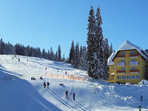 Hôtel Burg Hotel Feldberg Grafenmattweg 2 Feldberg