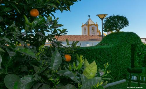 C12 - Sunshine Apartment in Luz Luz portugal