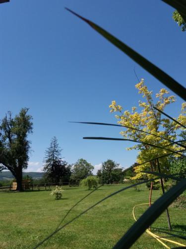 Cabane Aligoté Saint-Albain france