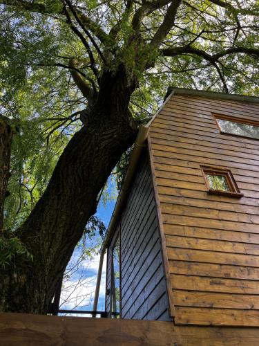 Camping cabane dans l arbre 65 Rue Wasselin Vadencourt-et-Bohéries