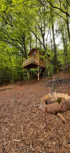 Cabane du Druide Domaine de Fangorn Glux france