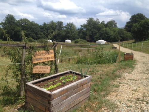 Camping Cabane Nid du centre UnisVers Lieu-dit La Ribière Peyrat-le-Château