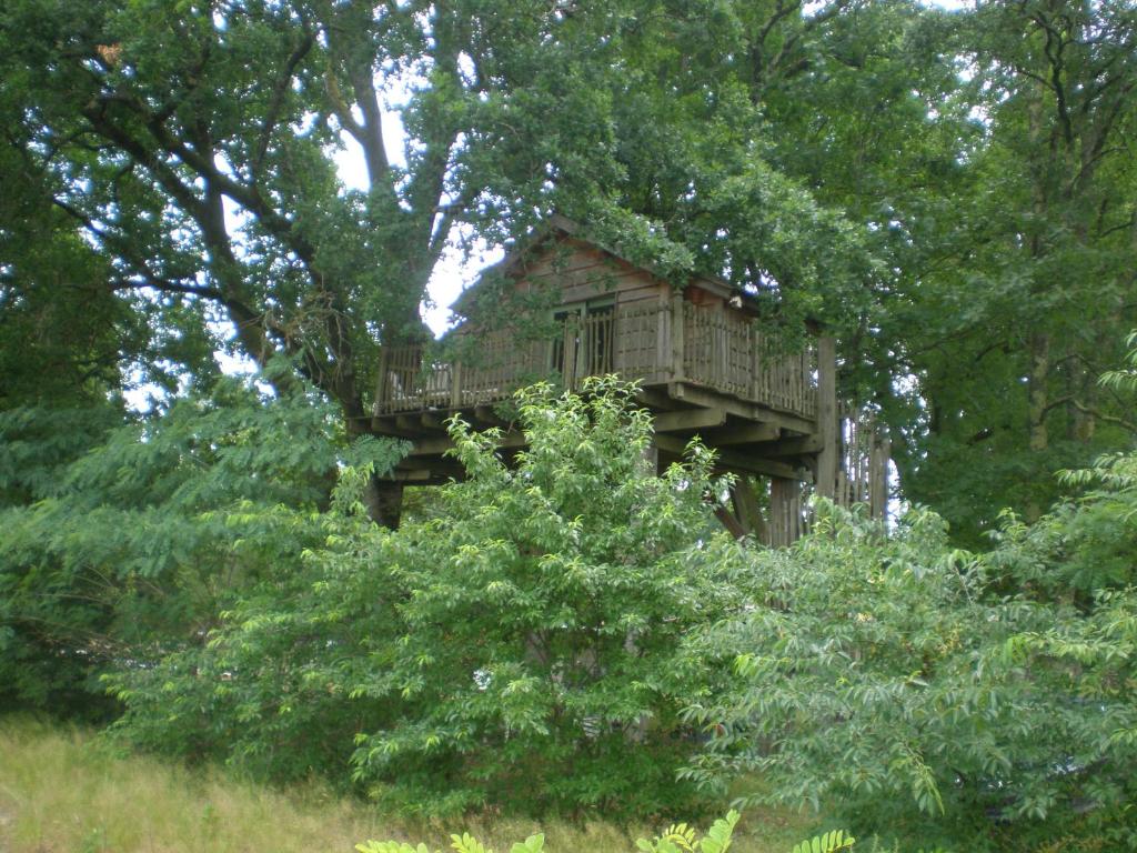 Maison de vacances cabane perchée 29 ter chemin départemental 44, 40210 Solférino