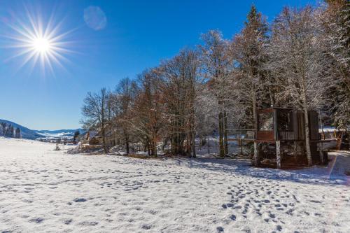 Cabane perchée La Résilience sur le plateau du Vercors Autrans france