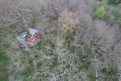 Cabane perchée - Les Cabanes de Fallot - sauna bain-froid piscine LʼIsle-Bouzon france