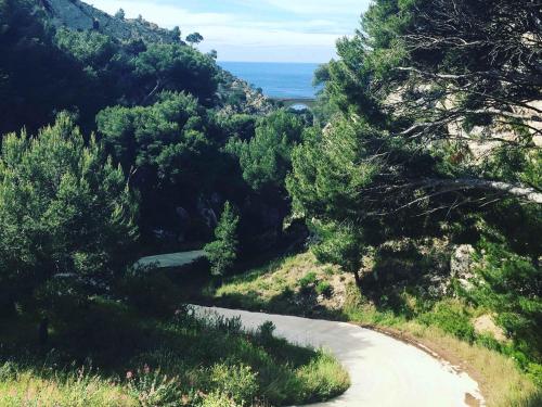 Maisons de vacances Cabanon Sur L eau 4 Chemin du Tire Cul Ensuès-la-Redonne