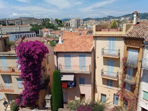 Appartement Cadre de rêve mais vous faites le ménage- very good prices but you have to clea-n th-e flat 21 Traverse de la Tour Cannes