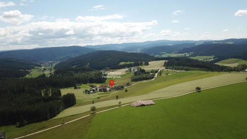 Café-Pension Feldbergblick Titisee-Neustadt allemagne