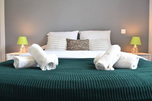 Calm house, swimming pool and garden Bénesse-Maremne france