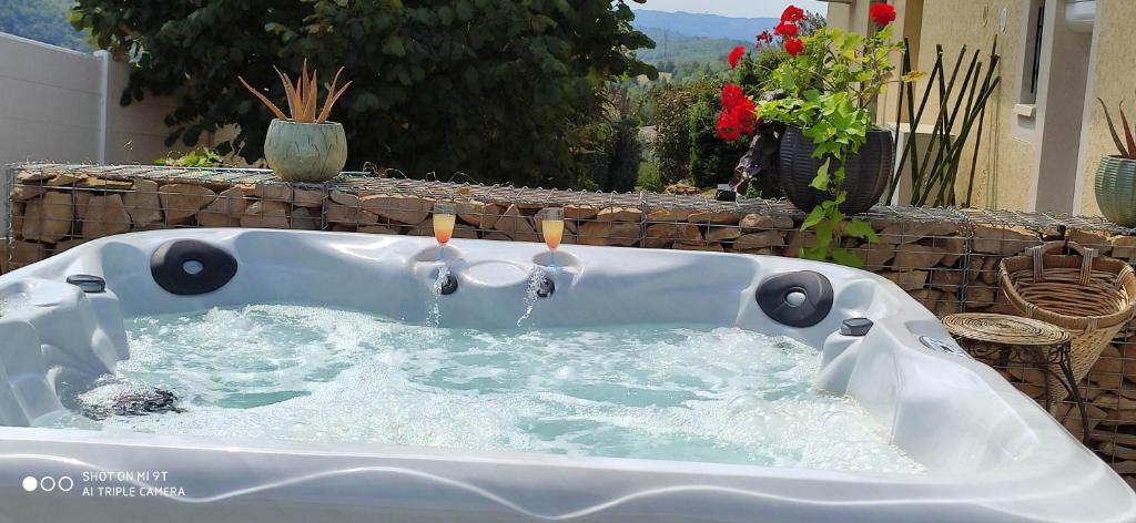 Maison de vacances Campagne et Jacuzzi ... c'est cosy le Bumble Bee ! 85 Chemin du Château d'Eau, 38460 Panossas