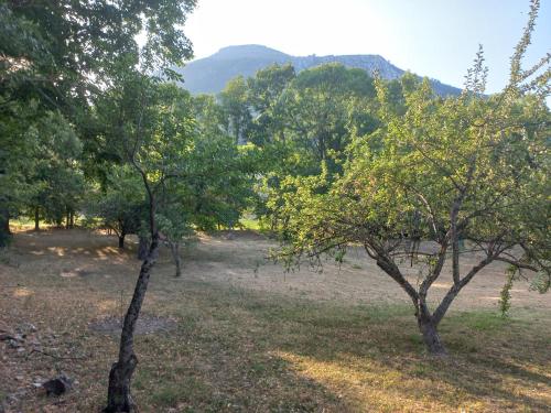 Campement des bailes La Bastide france