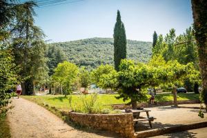 Camping Aloha Camping Club ROUTE DU COLLET 66400 Reynès Languedoc-Roussillon