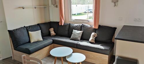 Assist' Mobil Home 465 - Mobil home neuf 3 chambres dressing tout confort