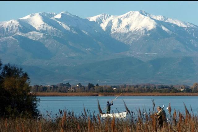 Bora Bora 2020 Voie des Flamants Roses, 66140 Canet-en-Roussillon