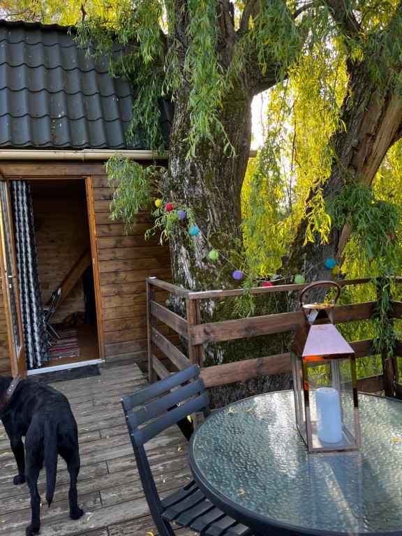 Camping cabane dans l arbre 65 Rue Wasselin 02120 Vadencourt-et-Bohéries