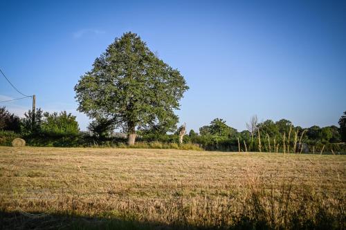 Cabane Les Pourettes