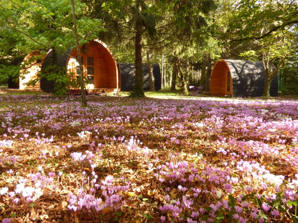 Camping Cabanes des châteaux 5 route de villesavoir 41150 Chouzy-sur-Cisse