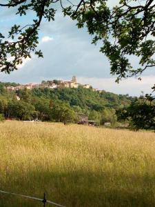 Camping du Moulin de Thoard